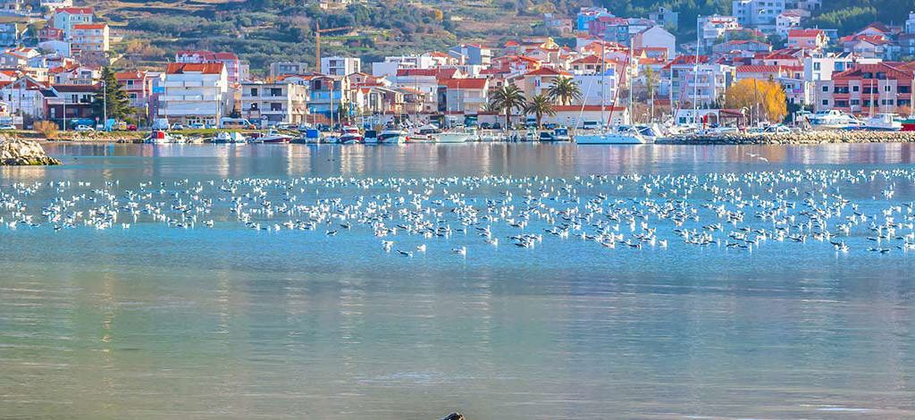 Hotels in Podstrana